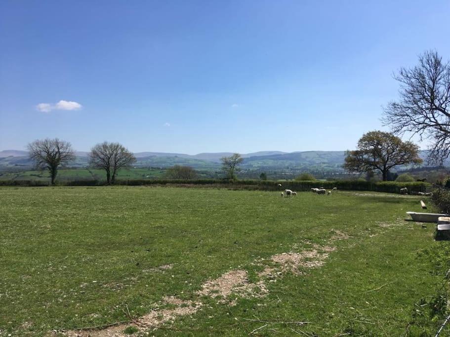 Perfect Cottage Retreat Near The Brecon Beacons Llanwrda Екстериор снимка