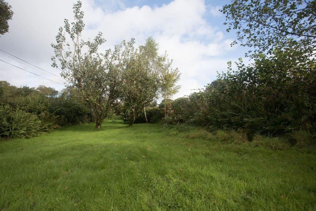 Perfect Cottage Retreat Near The Brecon Beacons Llanwrda Екстериор снимка